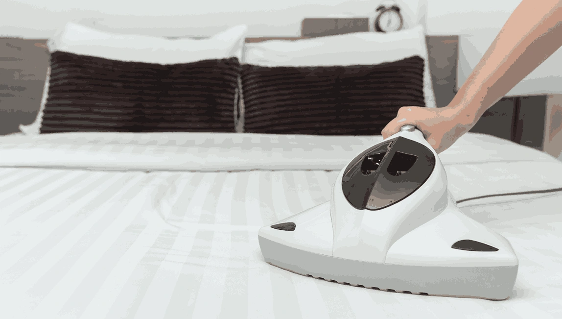 Professional Mattress Cleaning Wandong